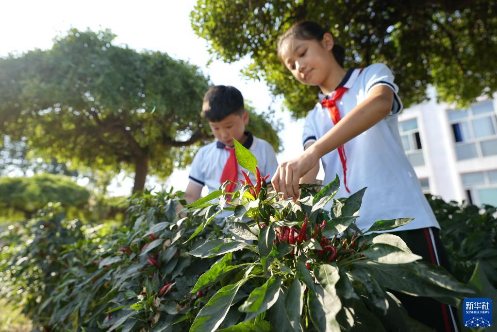 平台随时反水